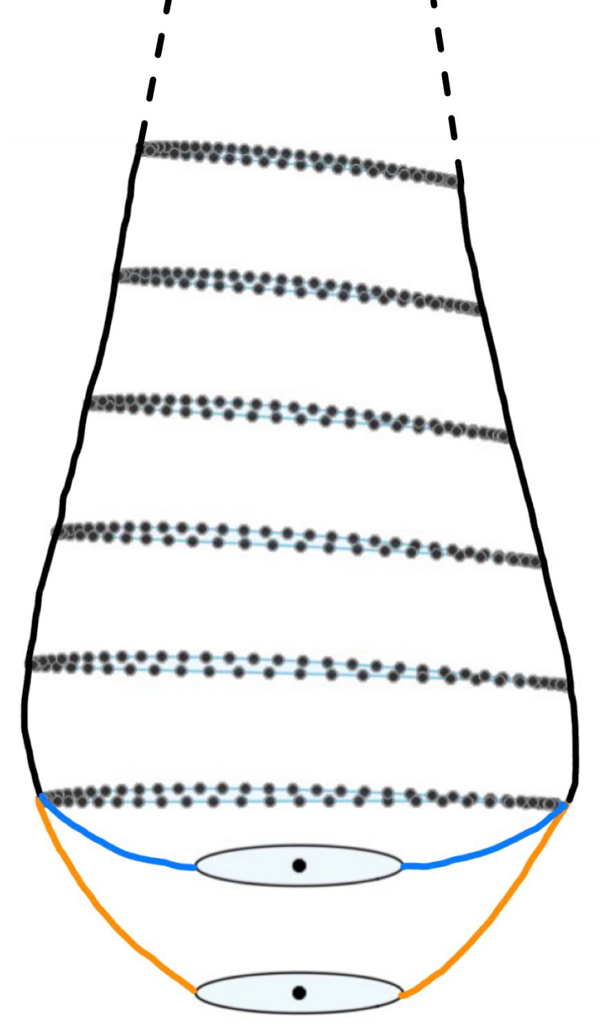 Comparison between intended and manufactured hub-blade offset